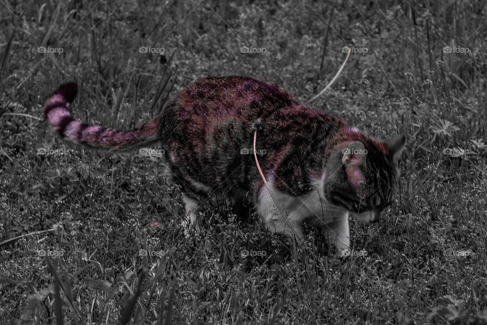 If this dude takes another photo imma bite him.