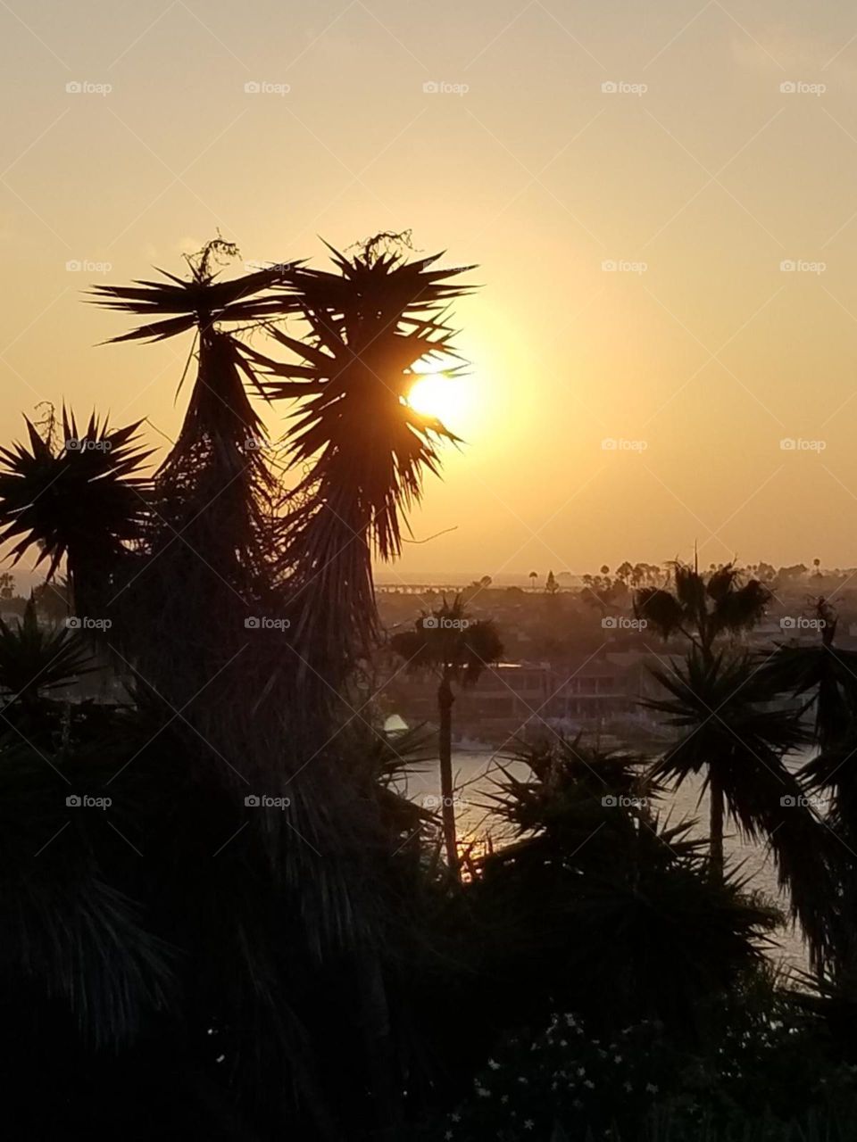 Sunset in Newport Beach California