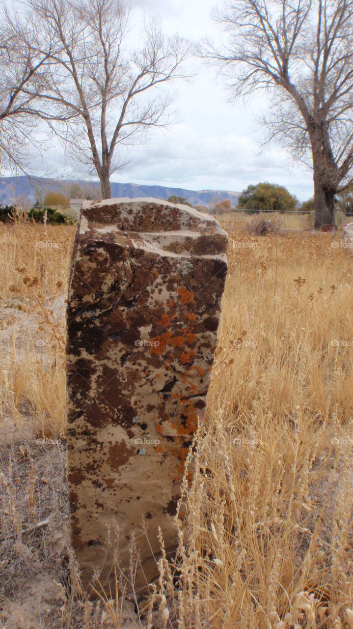 Abandoned Headstone