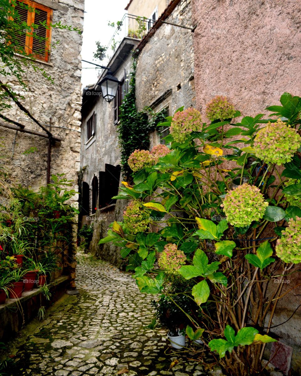 Village of Sermoneta, central Italy