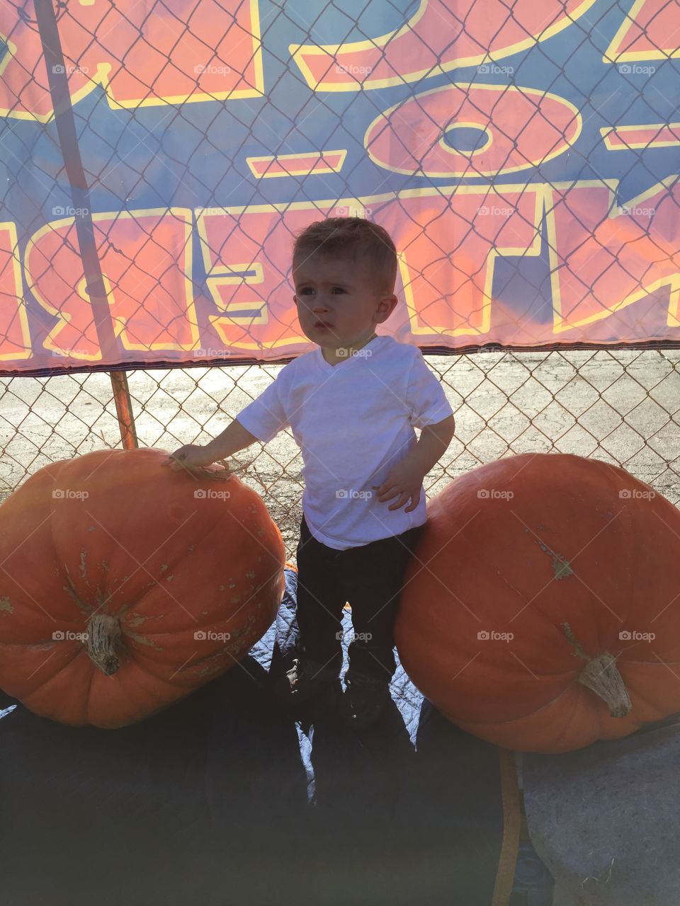 His Pumpkins