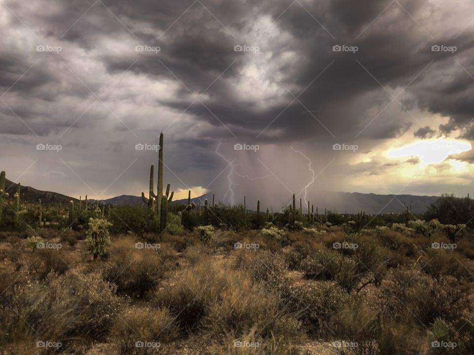 Lightning - Monsoon in Arizona 