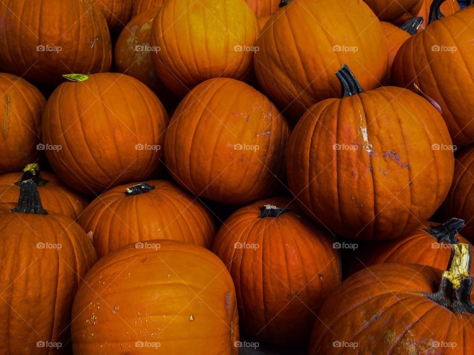Pumpkins