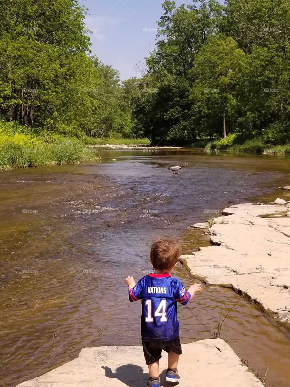 toddler sneaking up on a Herron