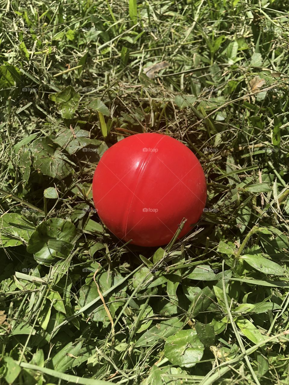 Colorful ball in grass 