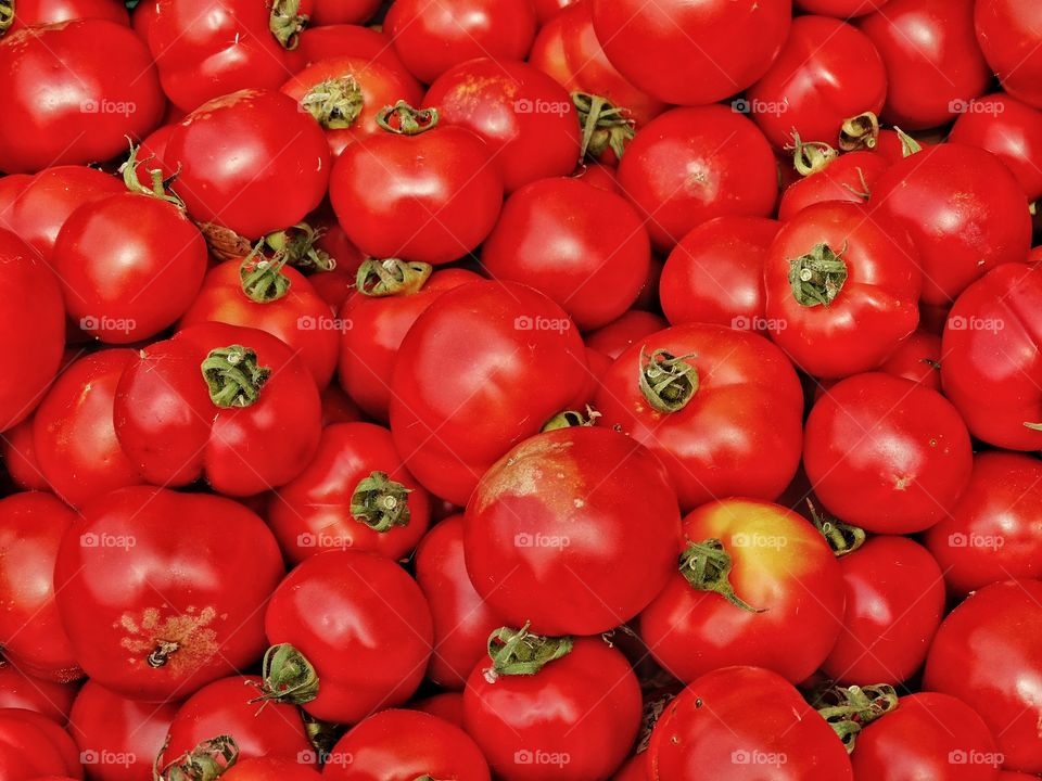 Fresh Red Tomatoes. Ripe Juicy Tomatoes
