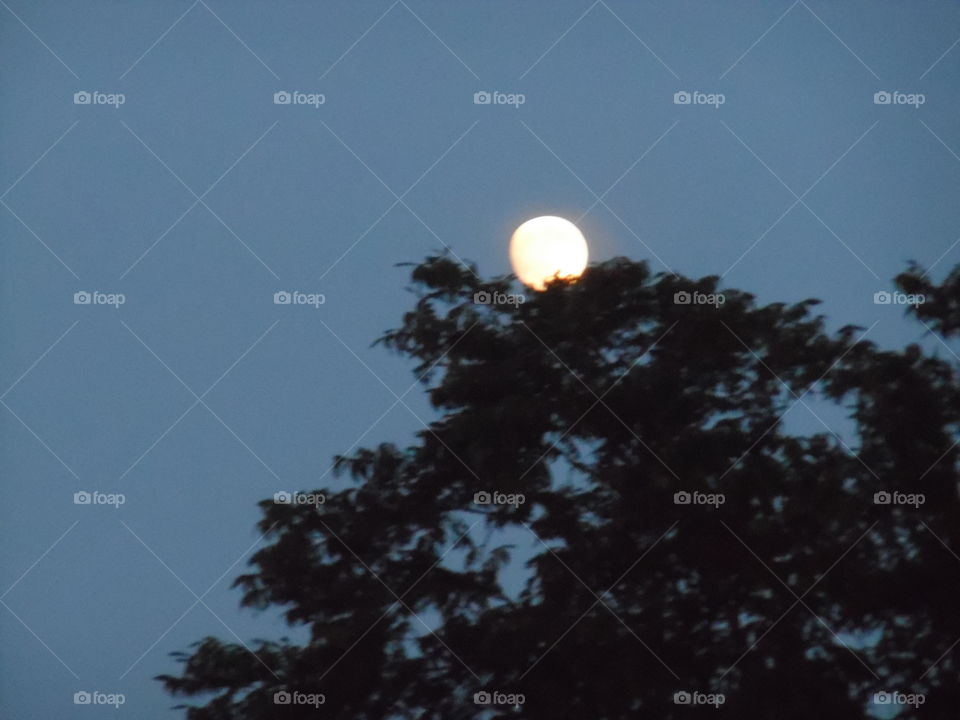 different view. This is another picture of the same moon 🌚. 👣 🚶 🏃 🔥 💨