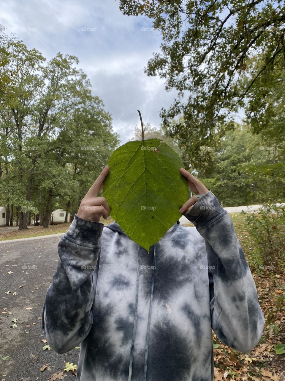 Ever seen a leaf bigger than your face? 