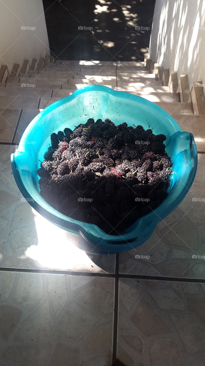 Blackberry bucket