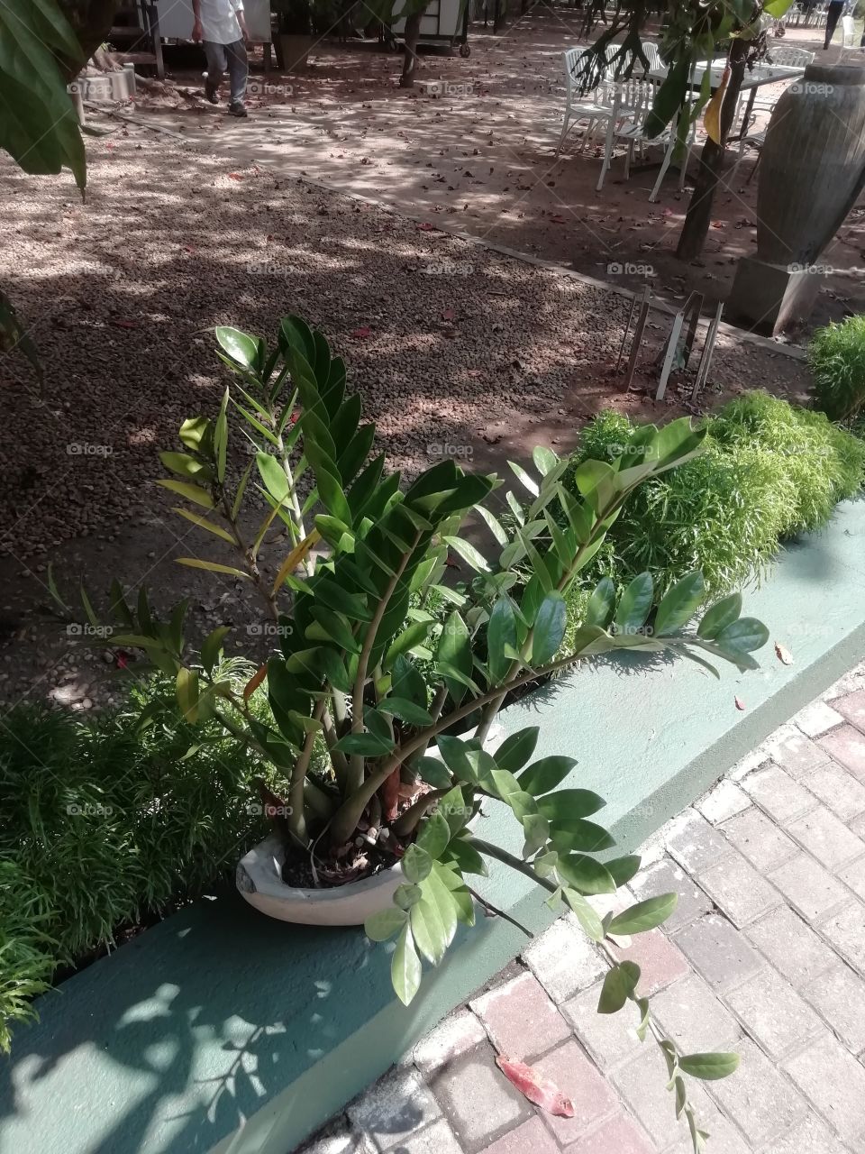 Resort surrounding # odd flower pot 🤔