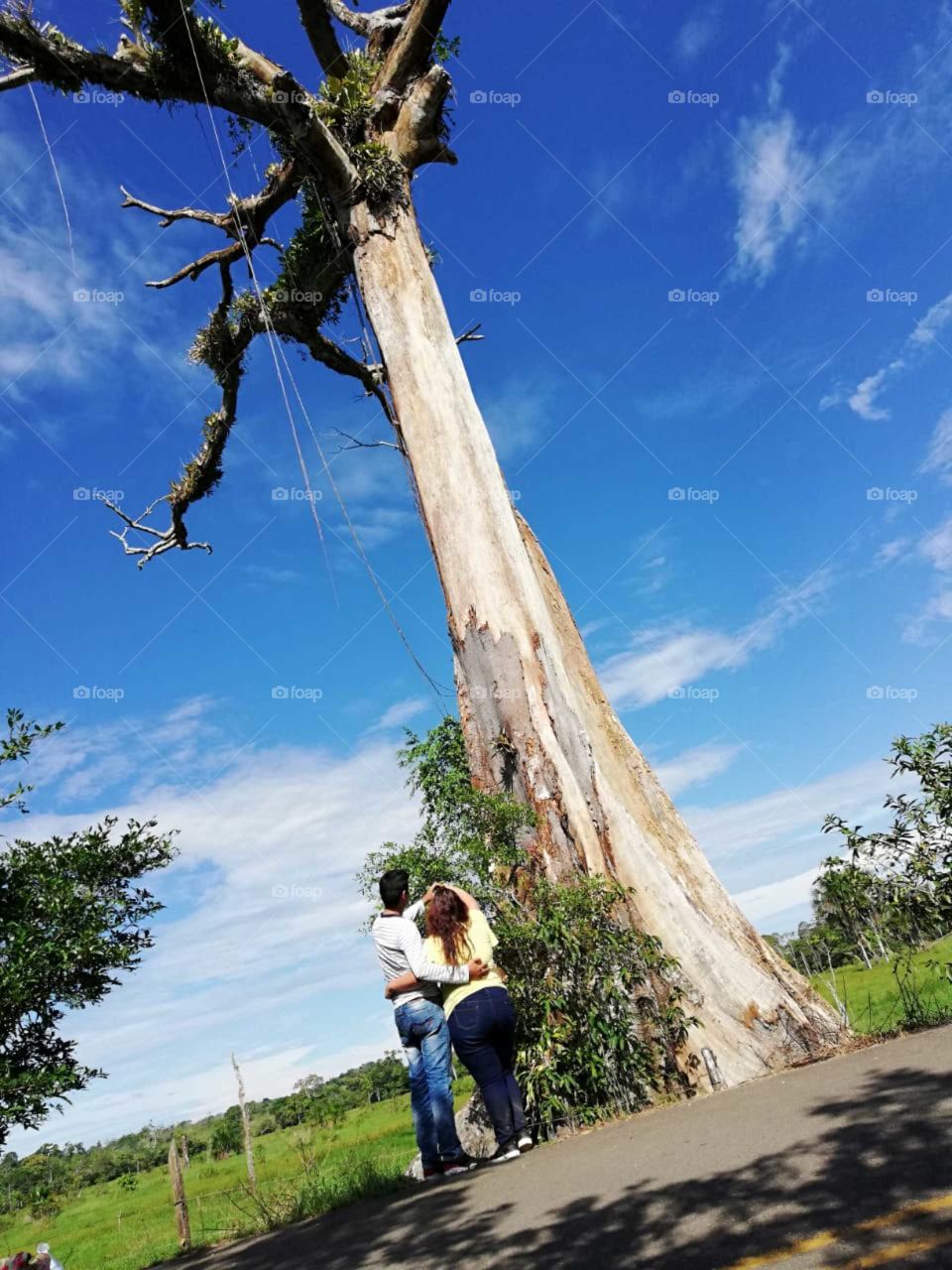 belleza sobrenatural