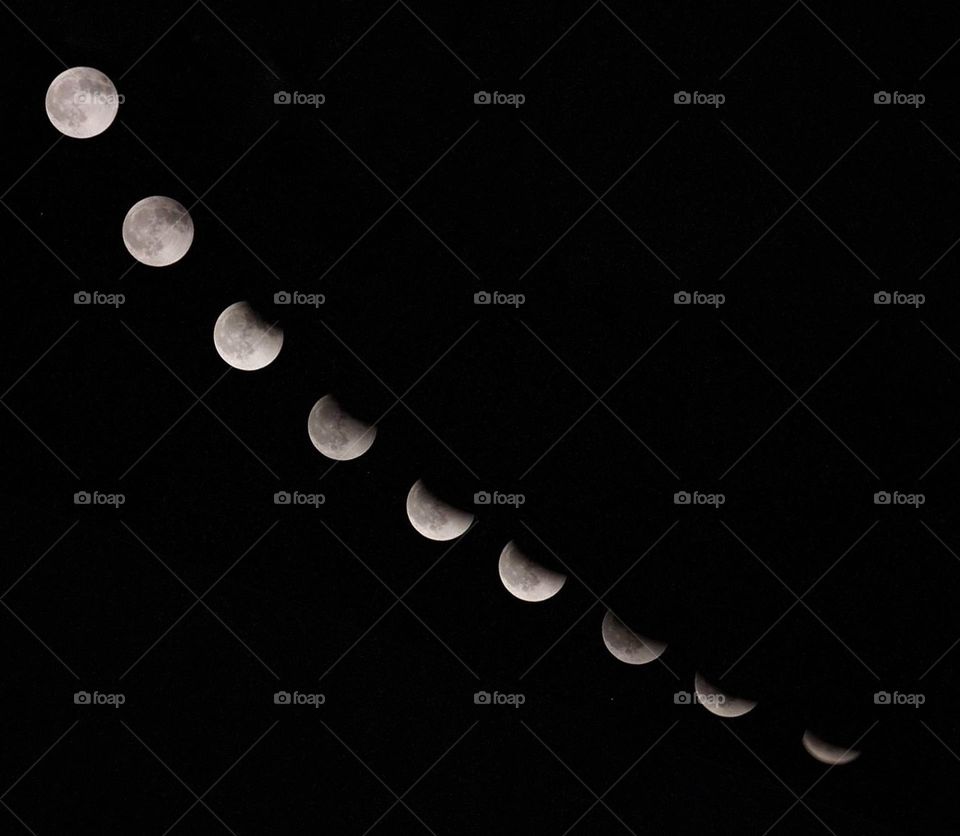 Phases of the Moon
