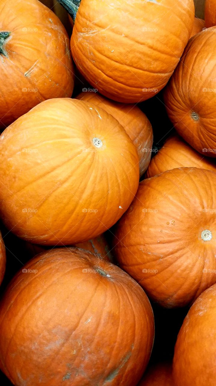 Pumpkins