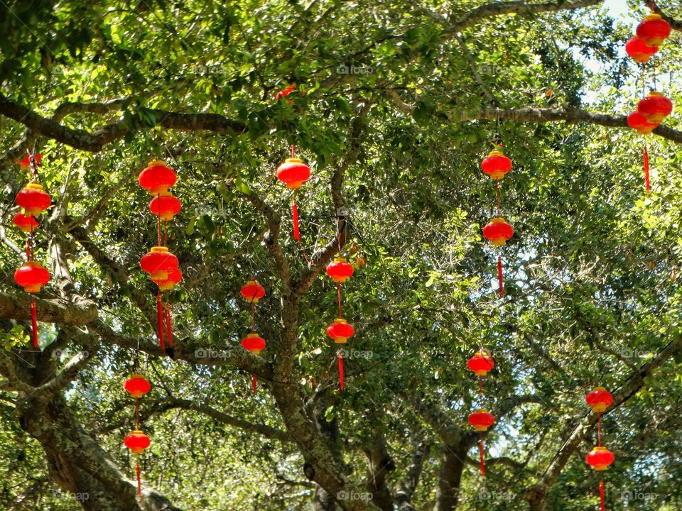 Hanging Chinese Lanterns
