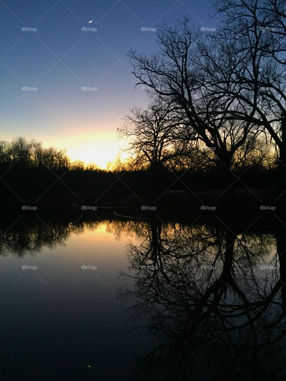 Crescent moon reflecting on a farm pond just after the winter sunset.