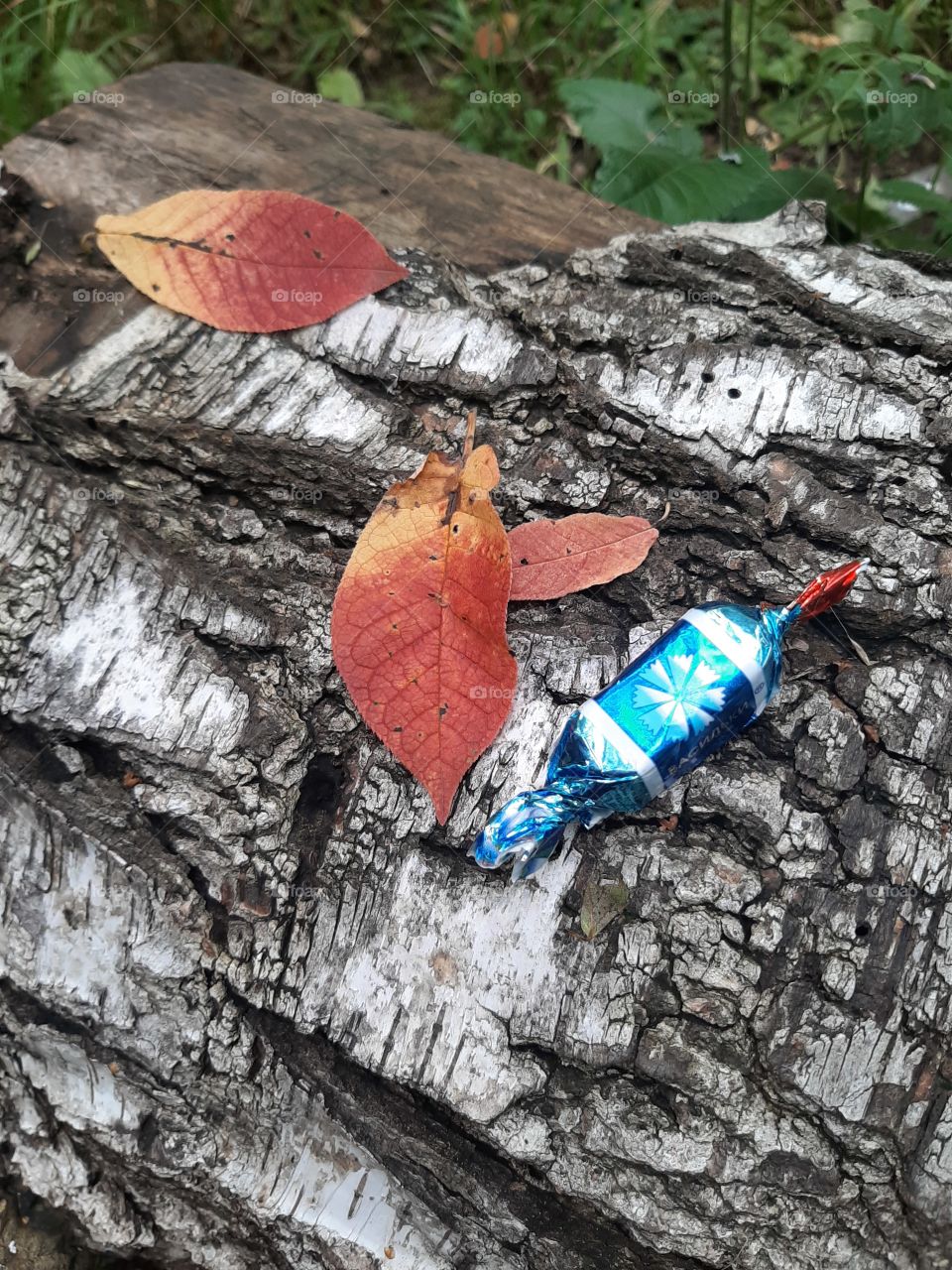 Кто   первый  найдёт?