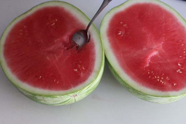 watermelon