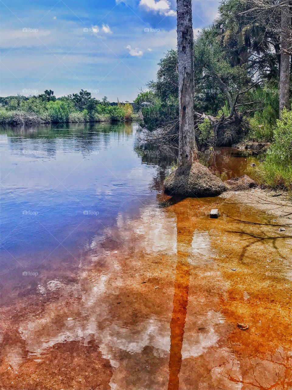 Along the river