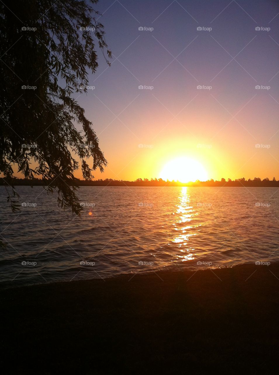 Idyllic view of lake at sunset