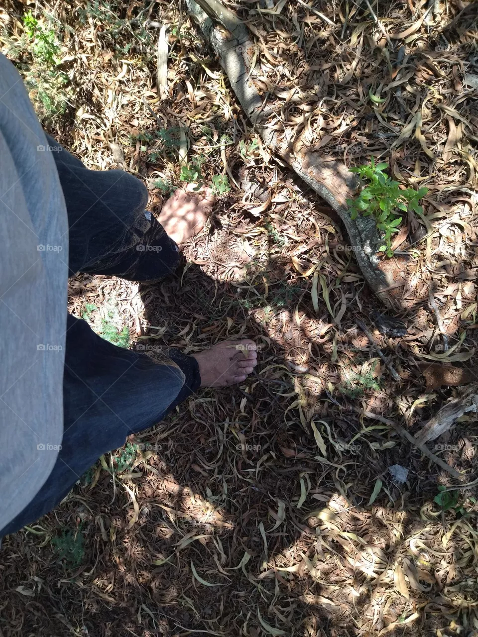 barefoot
