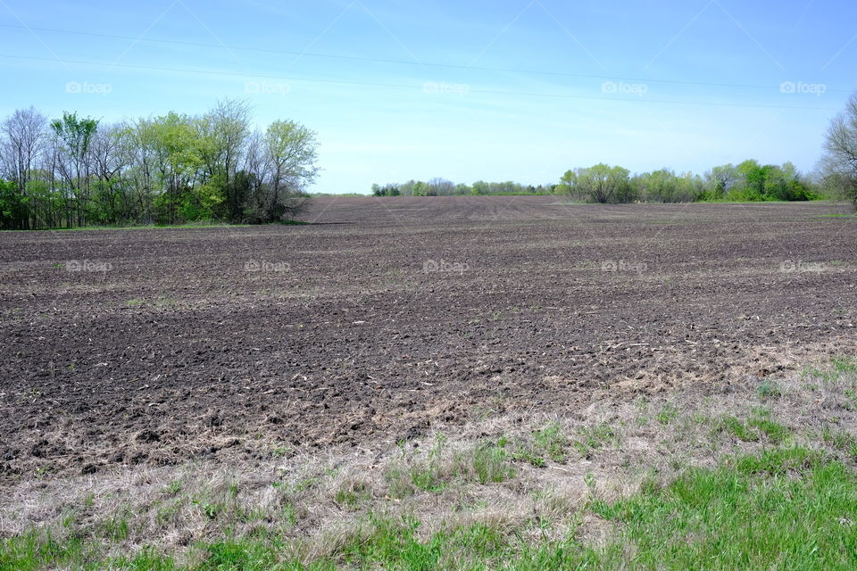 The farmer’s field