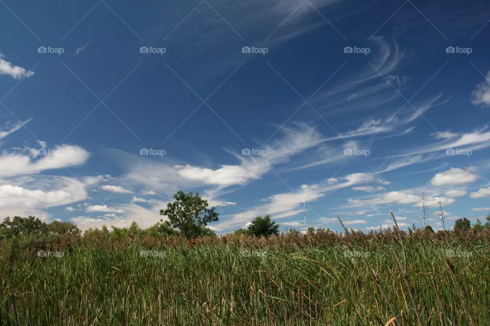 Open Sky