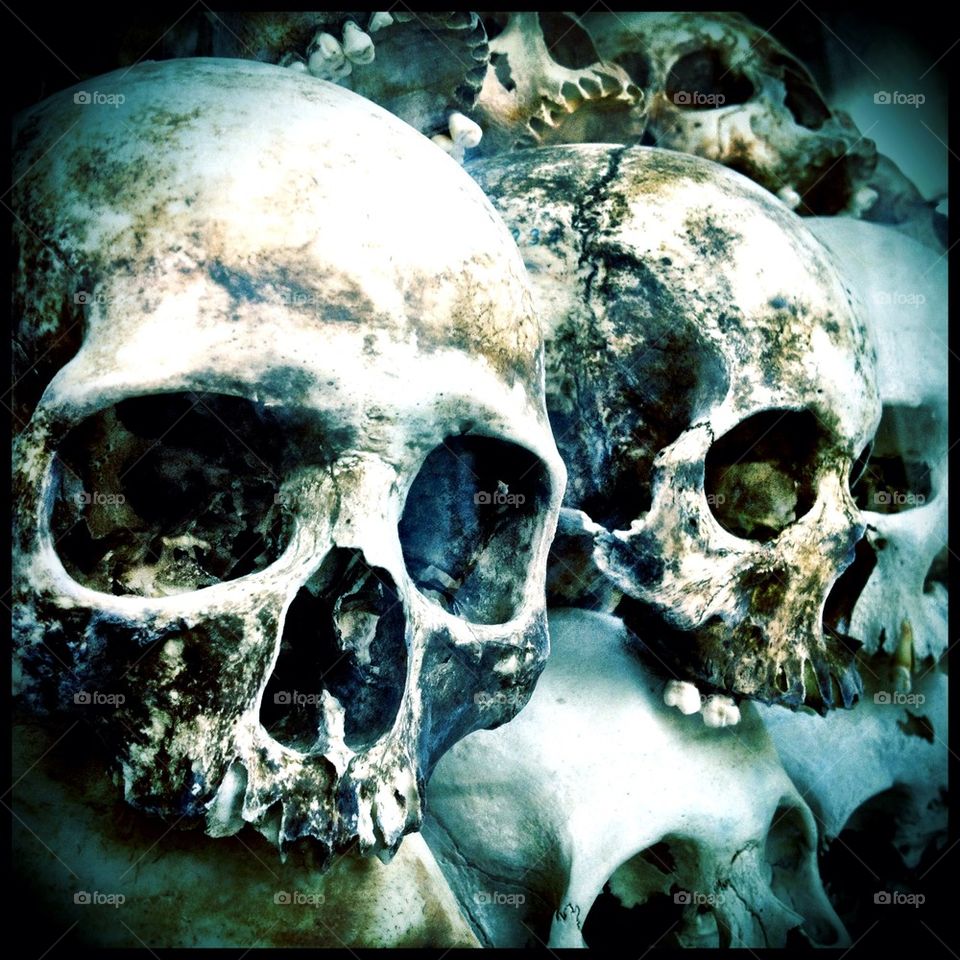 Skulls
