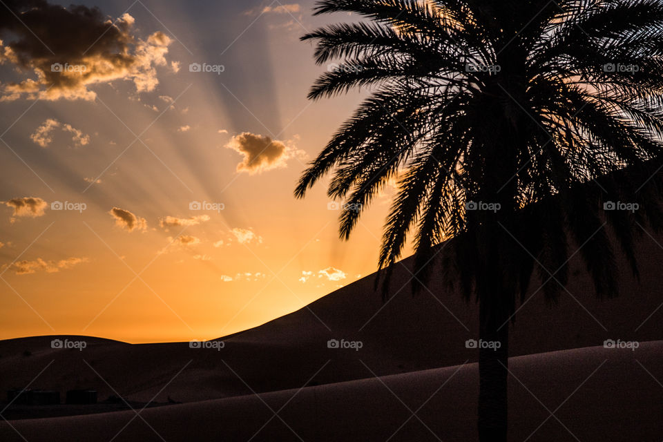 sunrise in the sahara desert