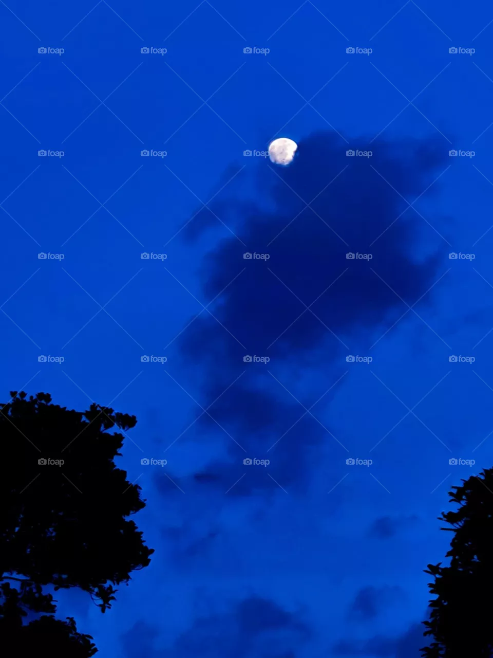 moon