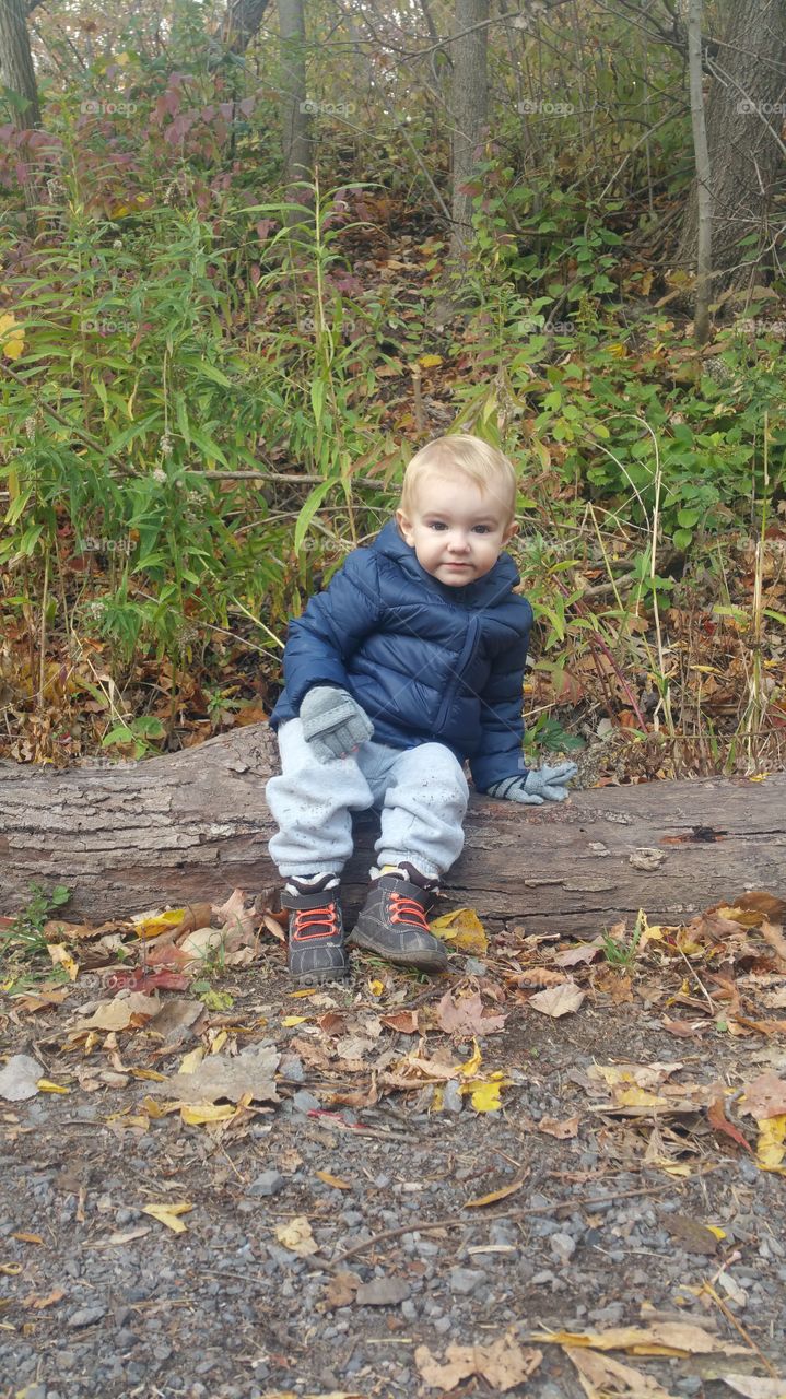 Child, Fall, Nature, Fun, Wood