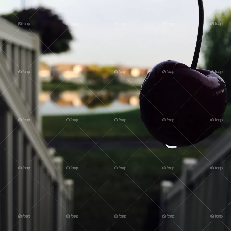 Cherry