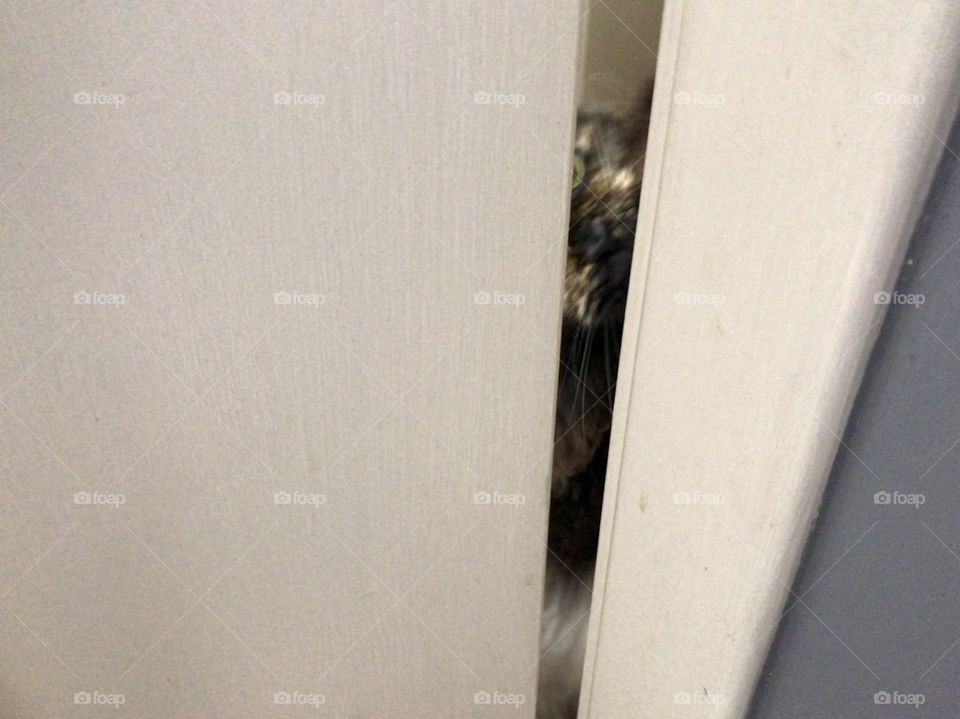 I get no privacy !!!!