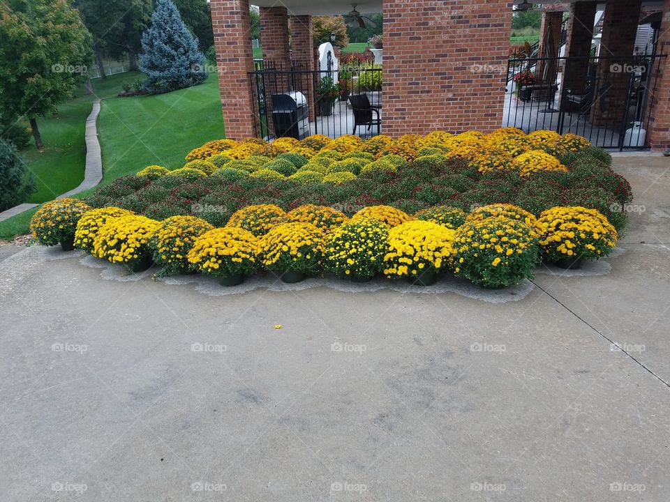 Falling for mums