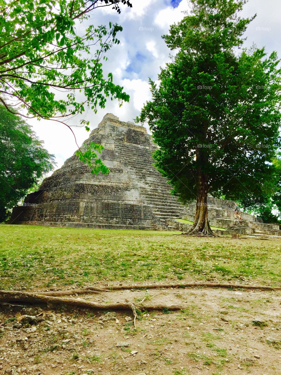 Chacchoben Mayan Pyramid. 
