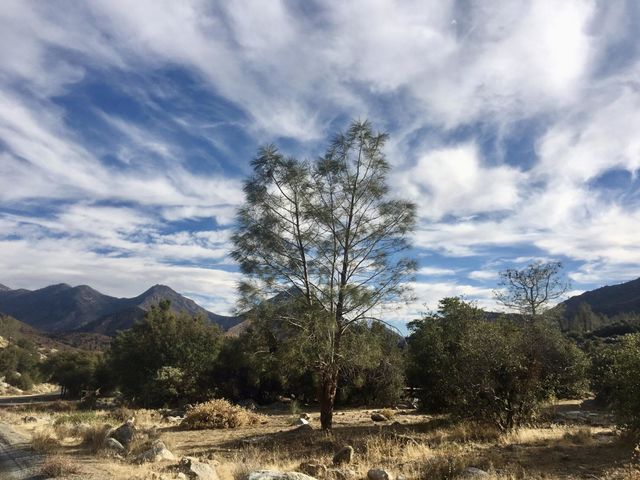 Sunny cloudy sky