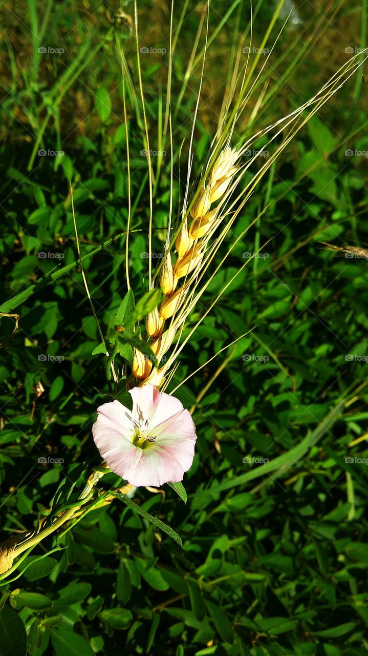 let's reach the lights