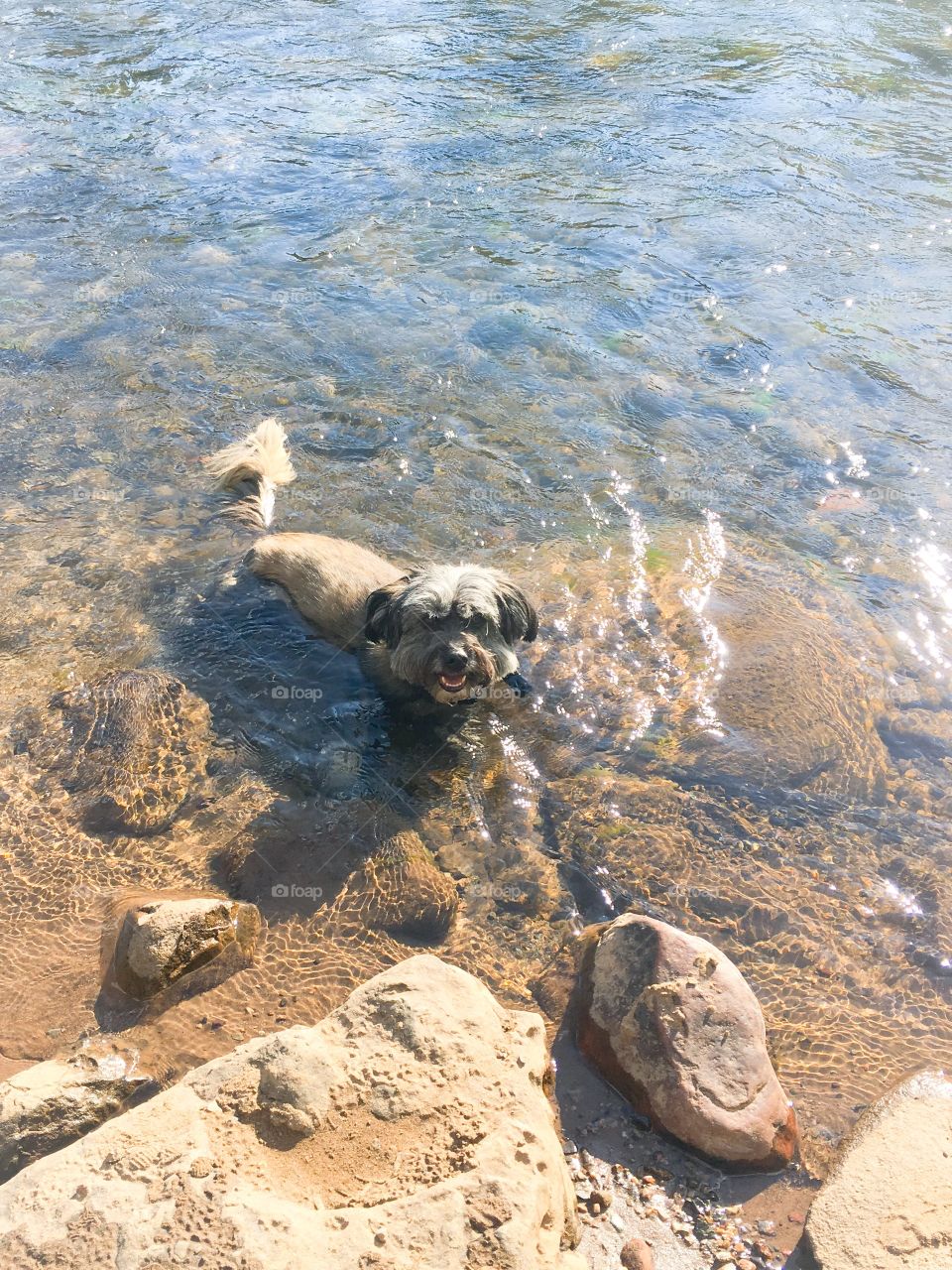 Ready for a swim