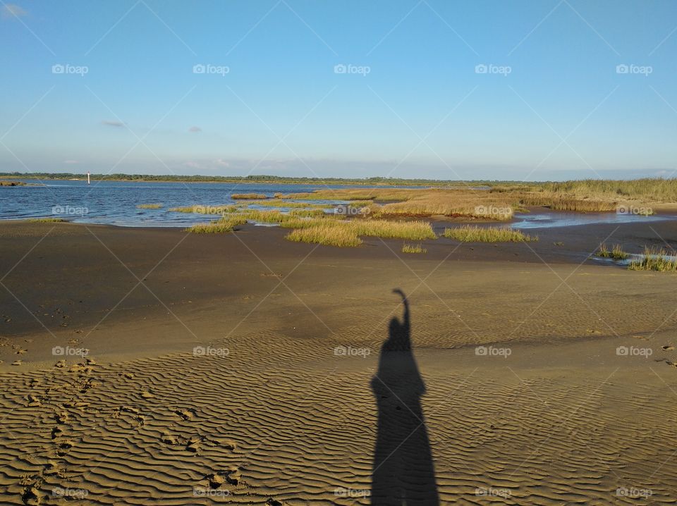 Silhouettes and shadows