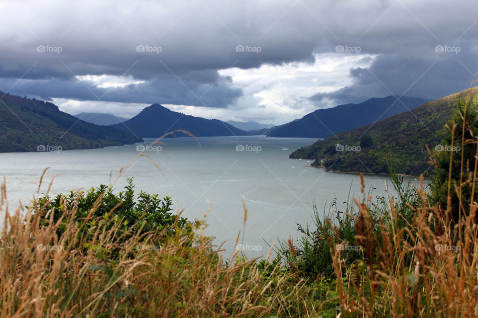 Marlborough sounds,new zealand