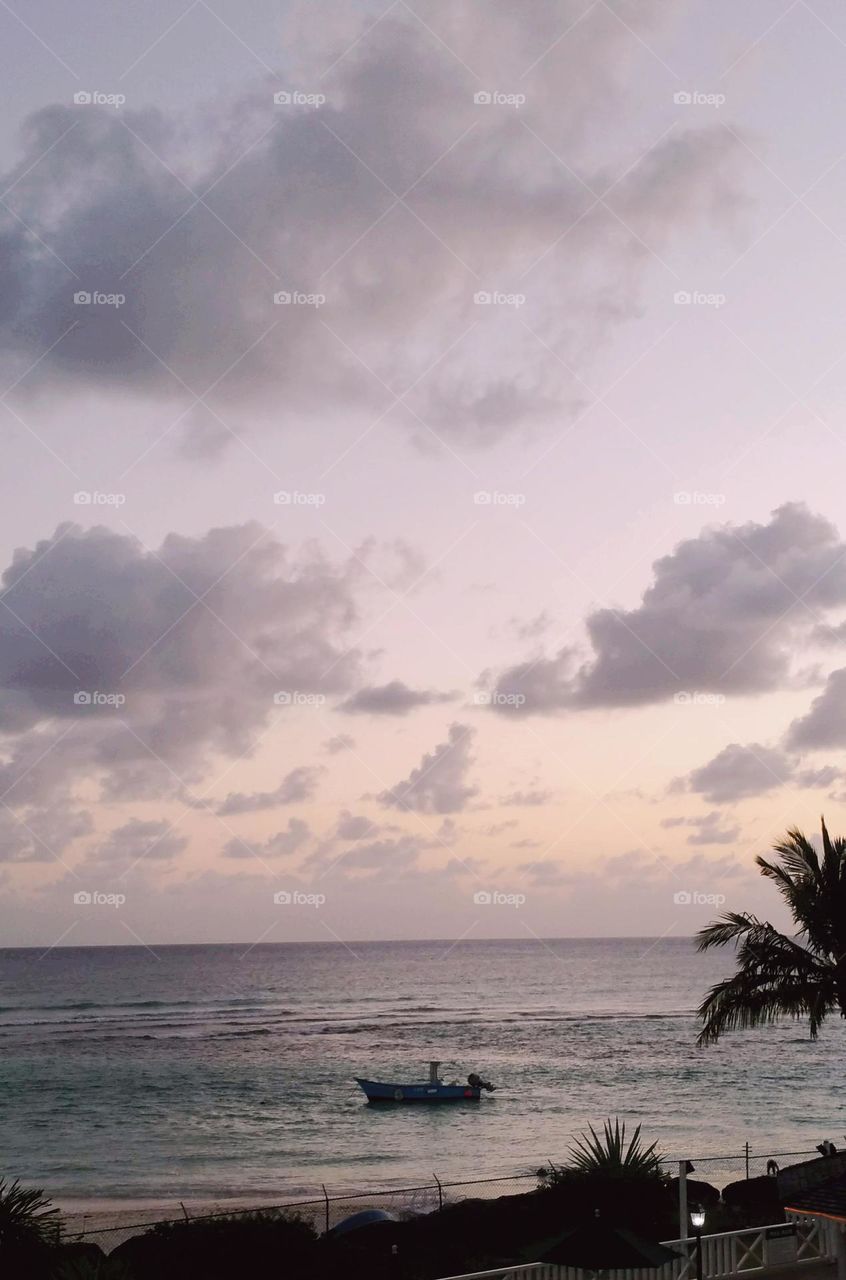 sunset in the Carribean at Barbados seascape with pink and lilac sky and palm tree and boat silhouette