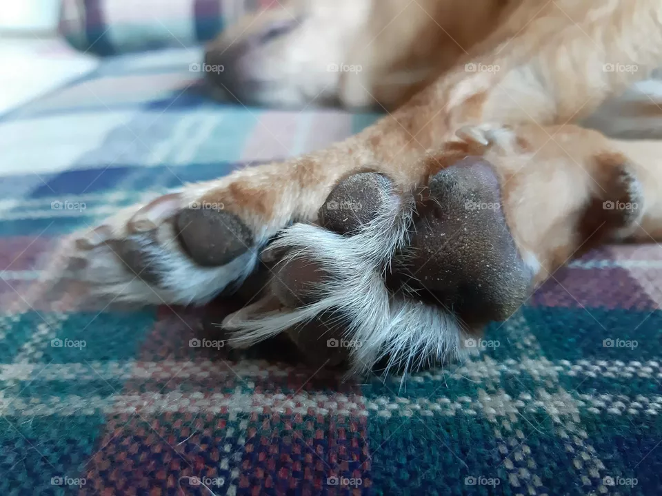 best sleep