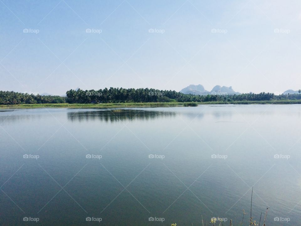 Beautiful lake and trees 