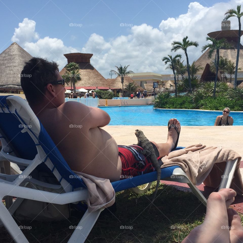 Friendly iguana in Cancun 