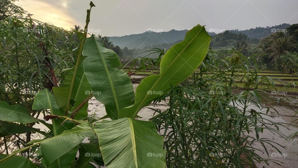 ada sinar matahari di balik gunung
