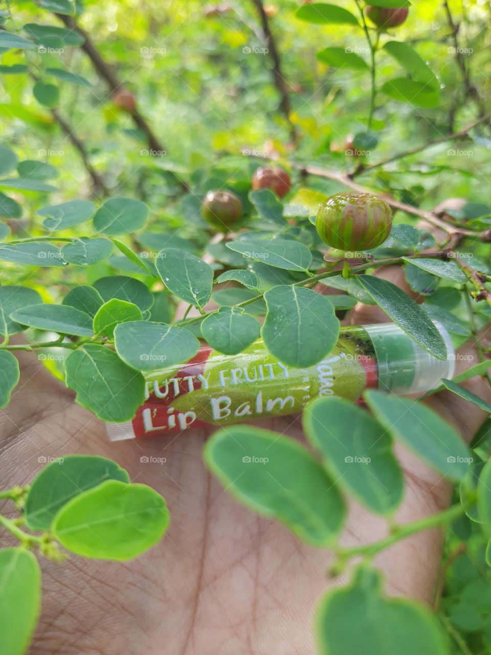 janet tutty fruity natural lip balm and Black Honey Shrub tree