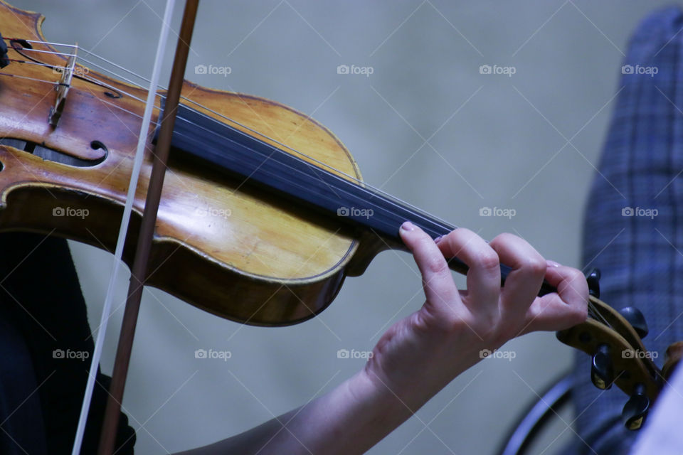 The musician plays the violin.  Orchestra.  Concert.  Stringed instrument.  Bow.