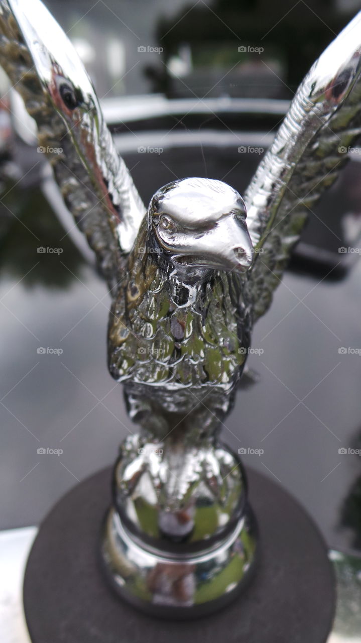 Eagle hood ornament in bright clean glossy chrome