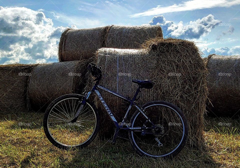 Bicycle 🚲 Harvest 🌾 Hay🌾 Outside 🚲