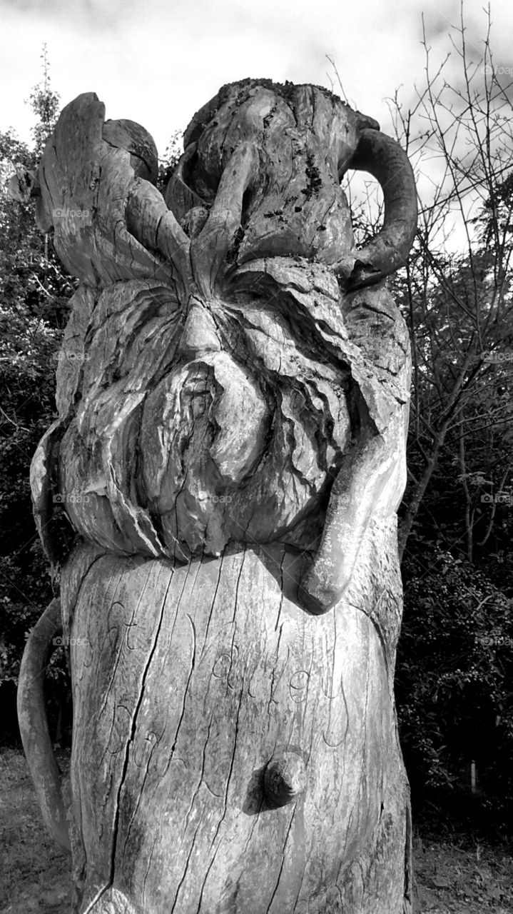 wooden carving of a bearded man