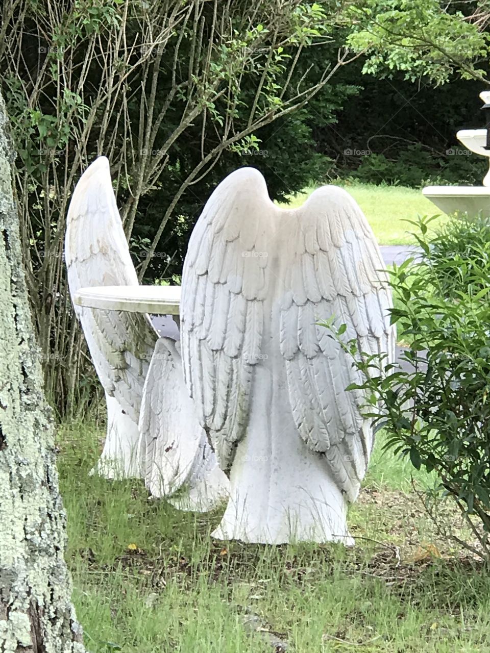 Angel wings